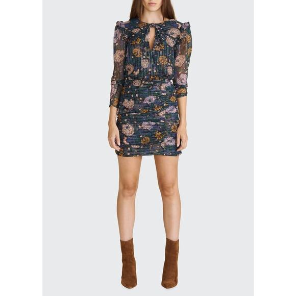 VERONICA BEARD Peppa Floral Silk Chiffon Blouson Dress Net-A-Porter 4 NWT $550